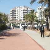 Çizim