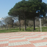 Çizim