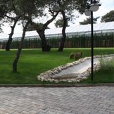 Çizim