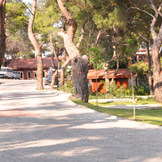 Çizim