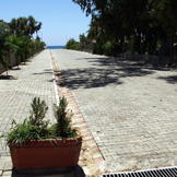 Çizim